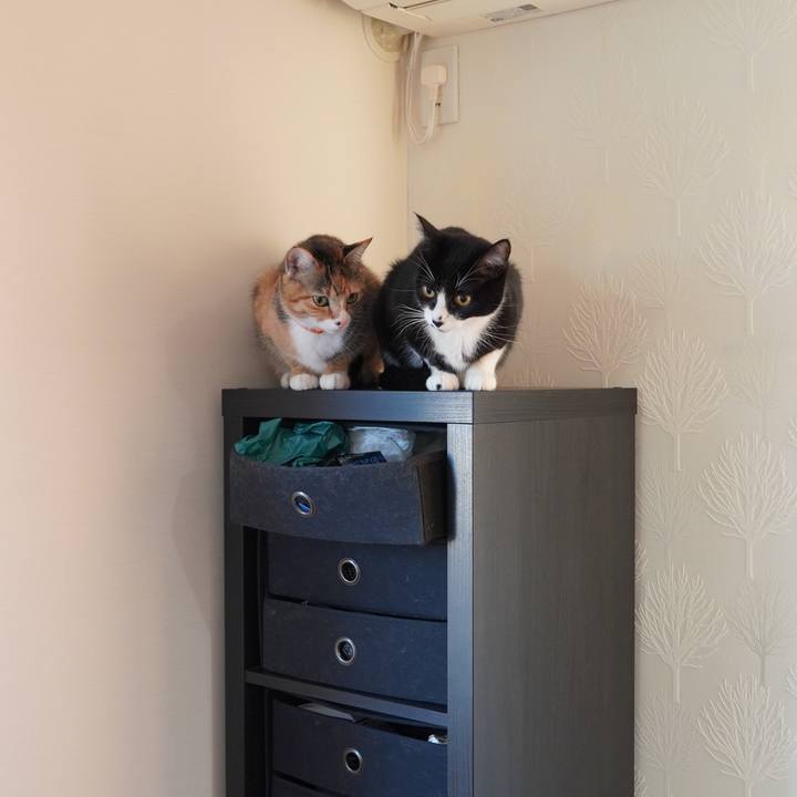 33889179 3612 4048 bdaf 4d6c7ff4c936 1604448688957