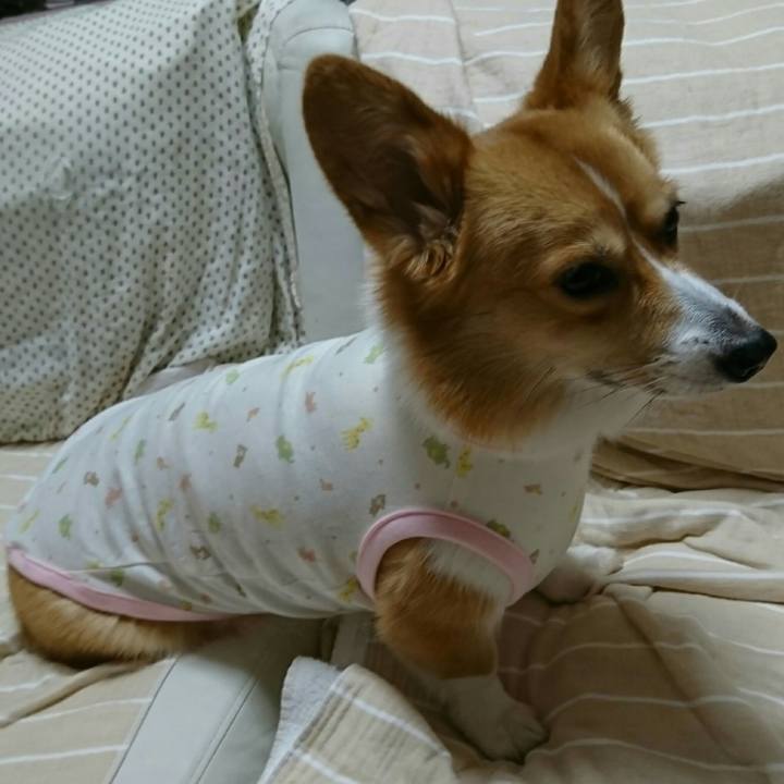 3388a5a3 219c 4b05 bd1e 58bef2d75724 1533015329915