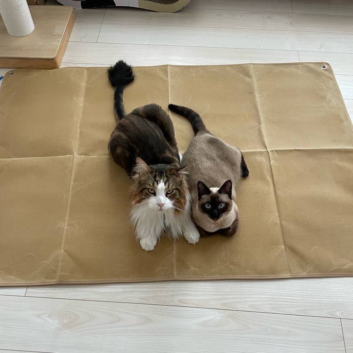 3388bf09 396b 4f24 ad88 dc3c92ea159d 1722665146156