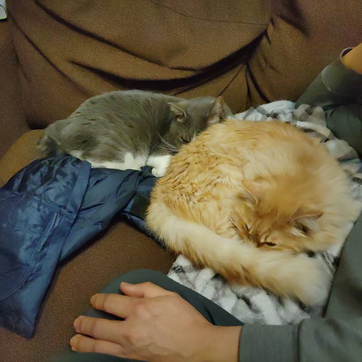 3388fe80 934f 431f 8ddb 1b30edd895b9 1678798463144