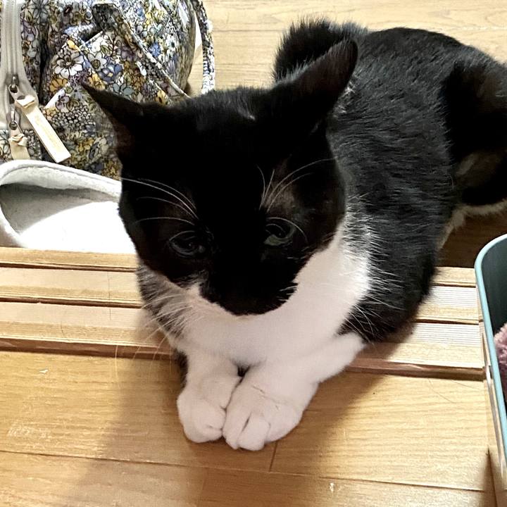 338921cb d2e3 4c0b afa9 927c5272f528 1600223126615