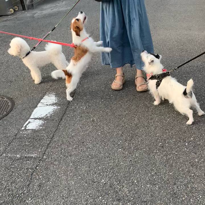 338929ad d6df 47ff 9228 2437a3f69e03 1723713851594