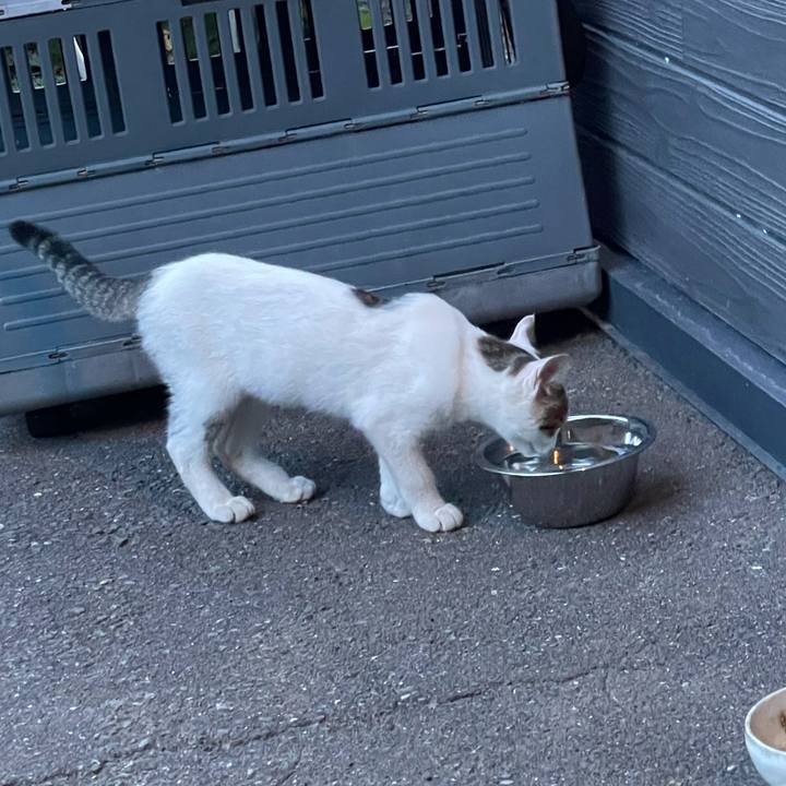 33893fe7 fb0e 4a86 bbe4 8c65a67cfab0 1629624492298