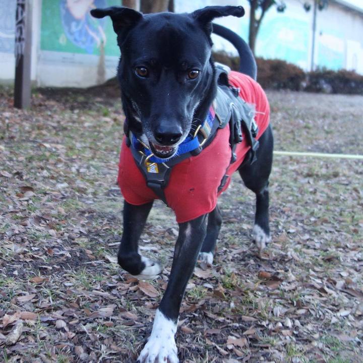 338940e6 cda1 4fec a374 763259a6d132 1642294590313