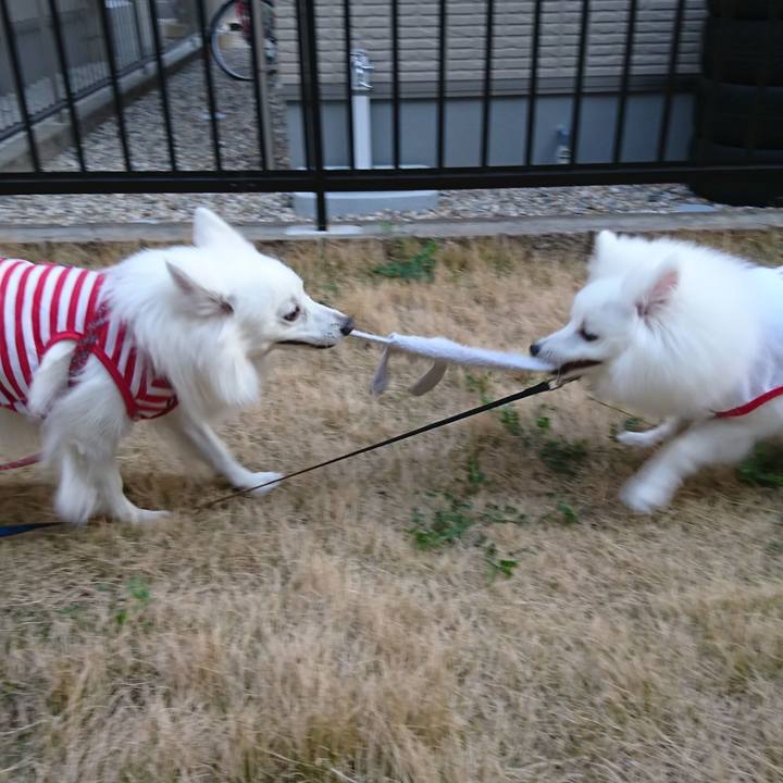 3389bfbb a345 4930 9e3e b7e23e06d045 1554800618426