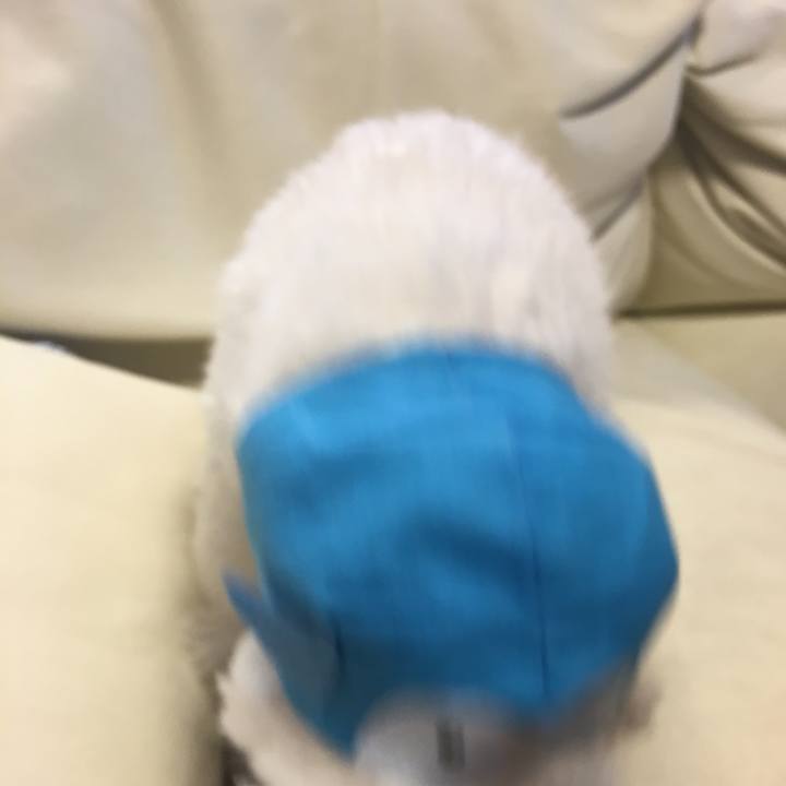 3389d5b1 ff17 47ec 8ee8 96c05d89a340 1568602977871