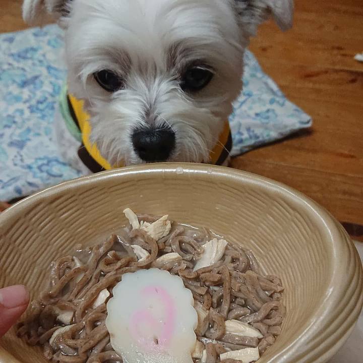 3389e23c 0be9 4733 8cf0 d4e5827000c5 1577789700286