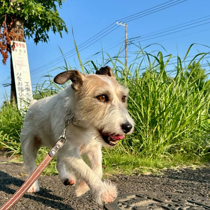 3389e4a5 a524 437f 9429 24ed8cd6a26a 1756325169773