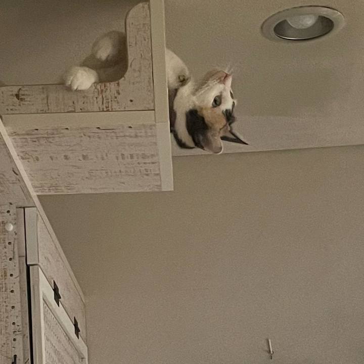 338a1240 e286 4408 bf79 dc715998ec5e 1693212160120