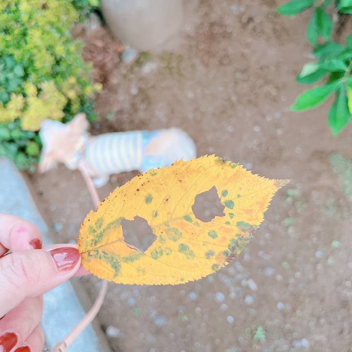 338a3e26 2359 4236 9c16 6edbeb5fcbb1 1664789208569