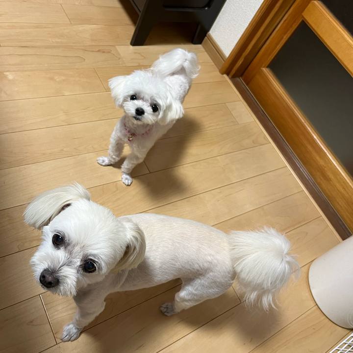 338a5efd 6938 4635 bbfb 50509ec1fa08 1720518935301