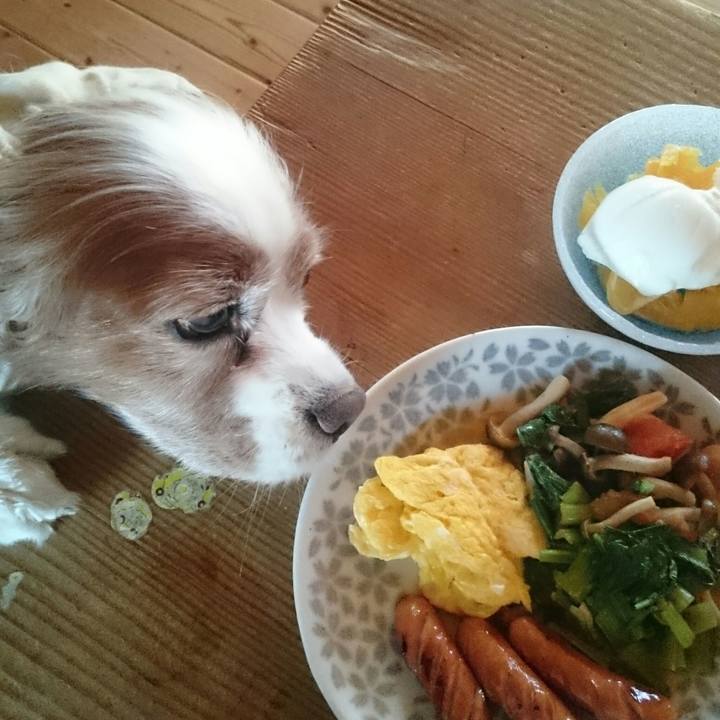 338a72db baf0 44a2 b8a0 cef693cde18e 1529965581971