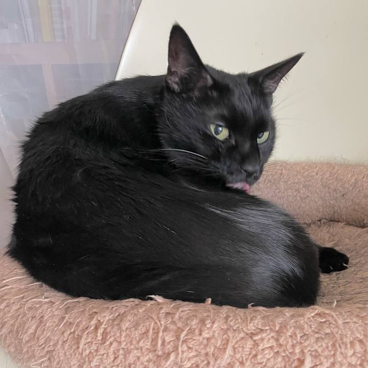 338a7f37 5ee5 409d 8f74 afb76ba2618a 1699156586123