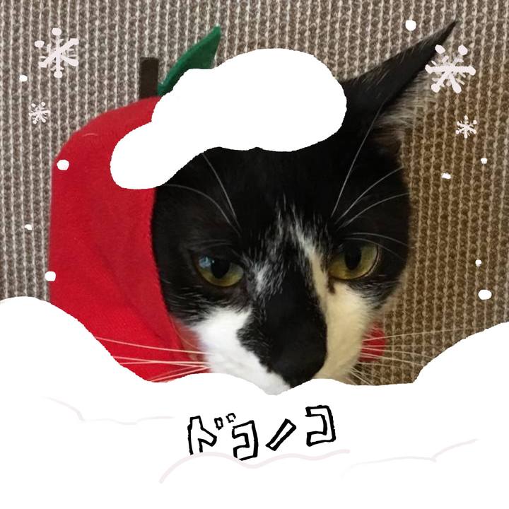 338b523d 237f 49dc 86e5 968514e47cf7 1772264533870