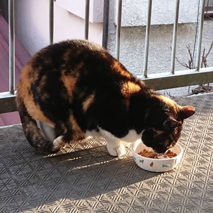 338b78e0 f5d8 49f5 a1a3 fb4e6a1b4dc5 1647500681033