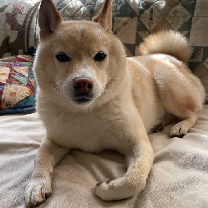 338ba10b 4900 421e a2a9 9657066b00de 1717541233492