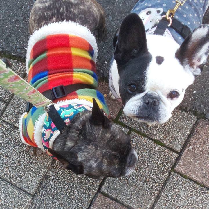 338baeec 55fb 47a9 871d 4de1ba35e7f2 1675910994225