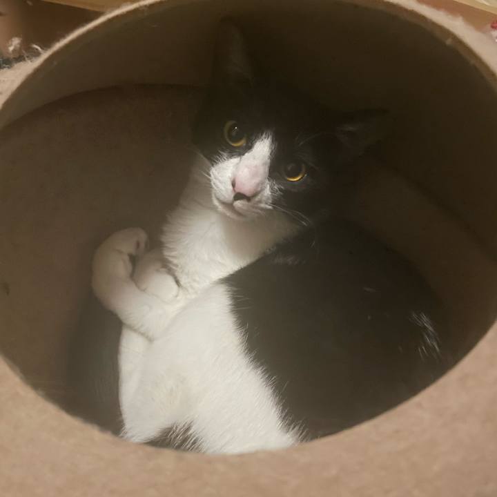 338bcdd9 0729 4a58 80ba 9ed942caaa2f 1682955991380