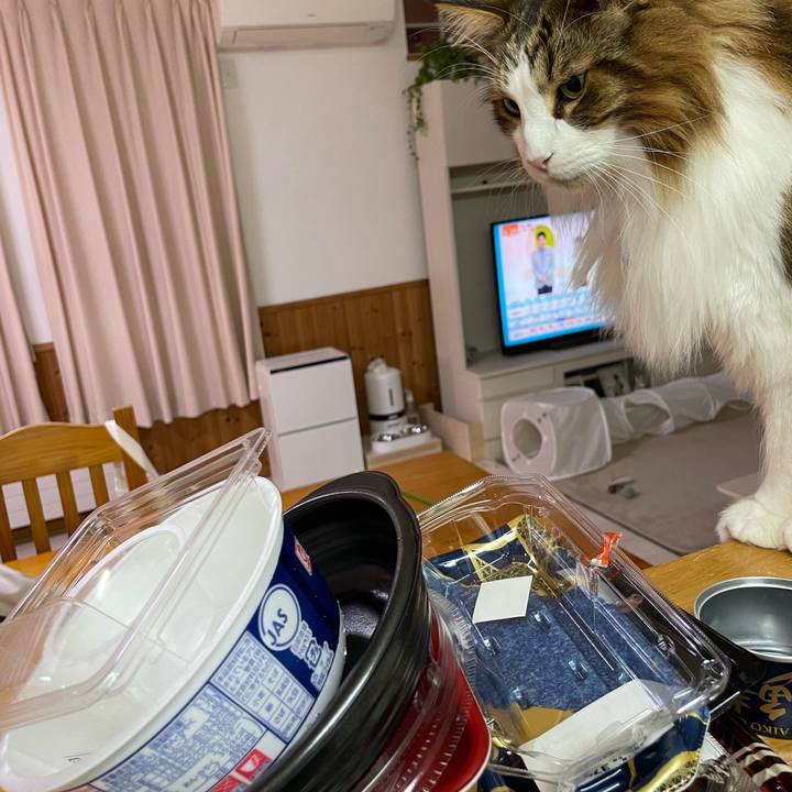 338bedf6 0b6c 4905 8e1a 8dd8600516fa 1728938137117