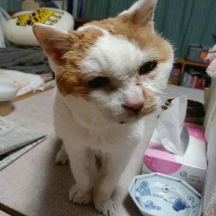 338c06c3 8b8f 4b44 918d 2da7eb52cfa8 1618312301541