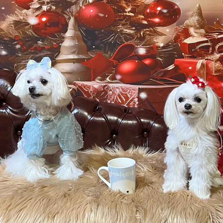 338c66ca d8f4 4888 80f4 05fb95a3aff9 1705449062575