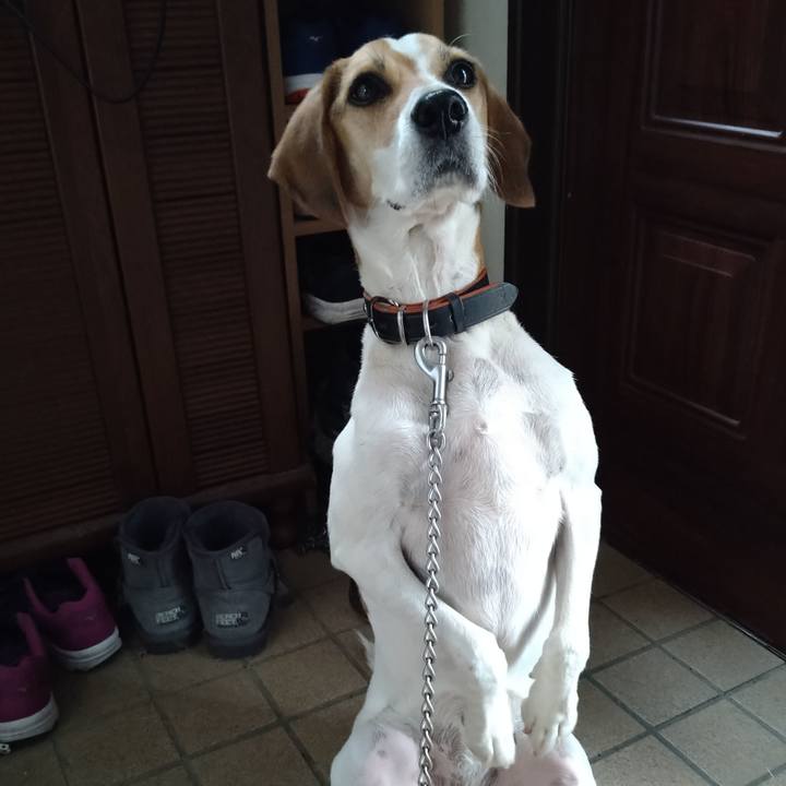 338c9cd5 b64d 4a98 9d17 96a0894f0fee 1630923516654