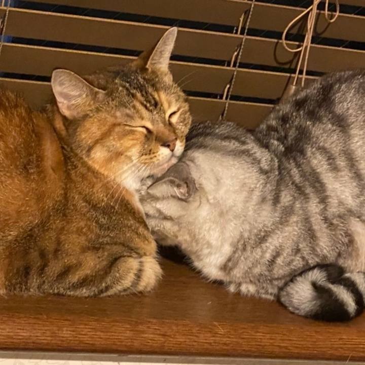 338cff06 6638 4013 98da 0c82e613fde8 1600980890672