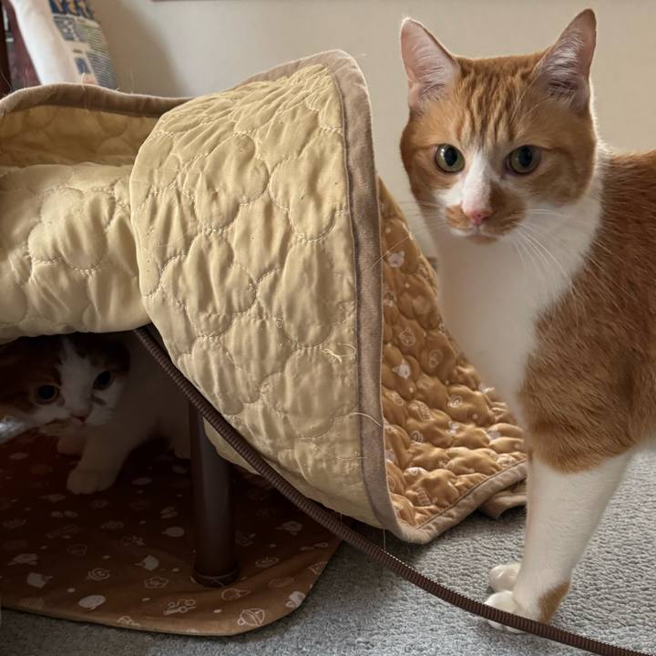 338d1591 ddb2 4ca1 b370 435ad4eb8532 1763001082831