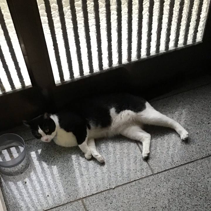 338d1df8 db99 4fd3 ae1c e8c1b2f422d9 1678357097895