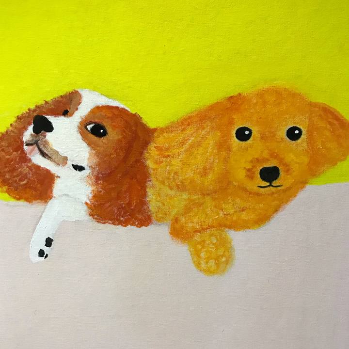 338d7809 efc8 4570 b7a6 a3904a8bedf8 1545315054702