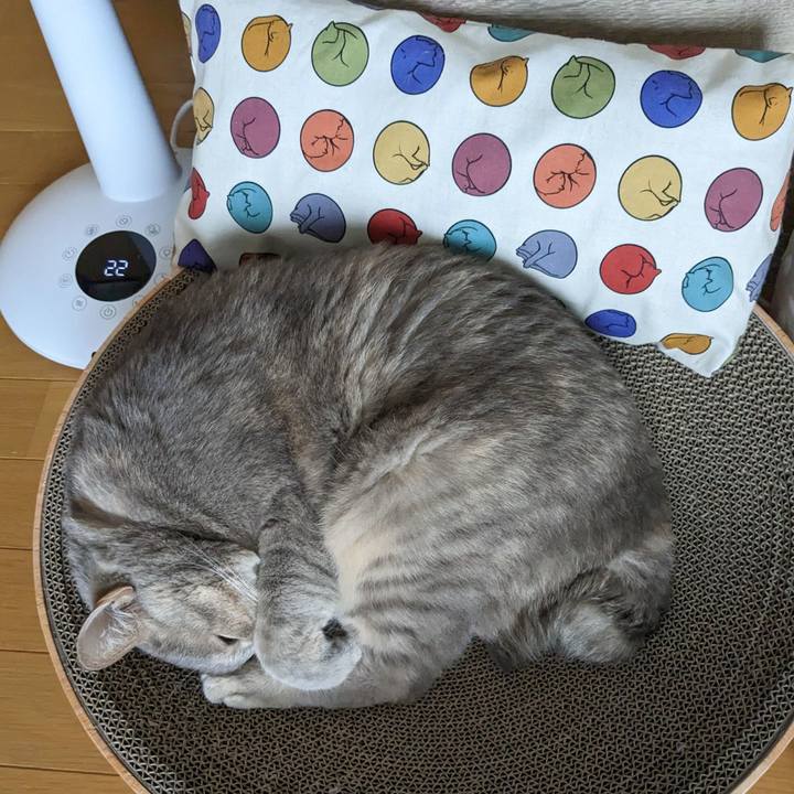 338d852f 1c07 4552 a195 87f06659e54c 1679723807843