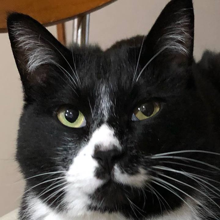 338db4b4 9576 4876 82e8 9def27ee9b1e 1653709610581