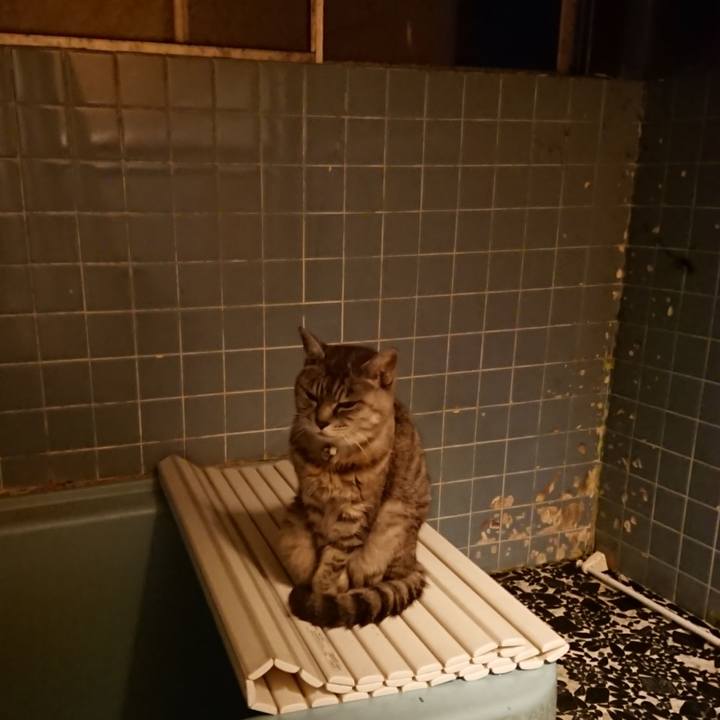 338ddee1 b09e 4903 aeb3 eff615b5a629 1571475819345