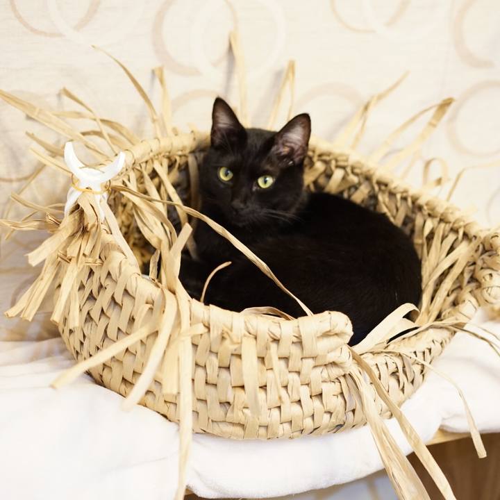 338deabf e5cb 47f5 a7e5 5b0d9519ea2e 1548025941120