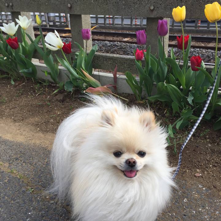 338debd0 96ae 404e a358 4f80ddc317fe 1522565008940