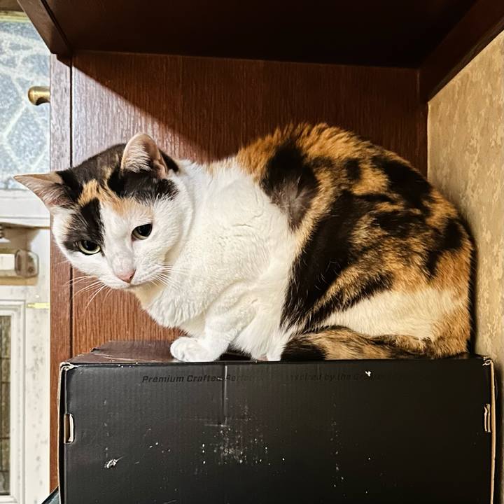 338df84f 47b3 45c2 b5e9 168c2a3e5e84 1684984025045