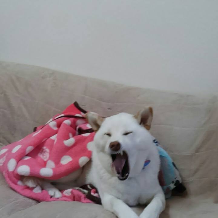 338e1304 74bb 4e18 ad4e 7d6119187d4a 1518432918528