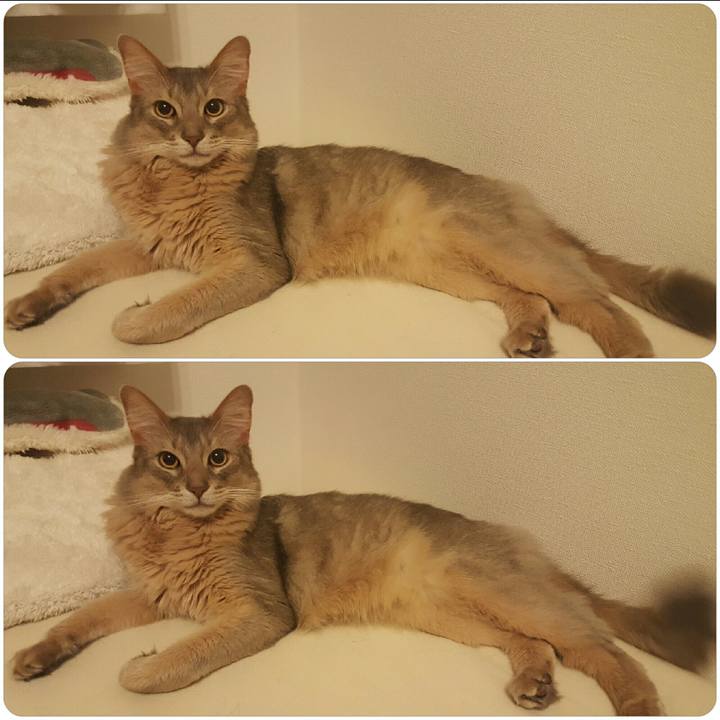 338e236f 195a 4628 8649 6636000a83cc 1523775752058