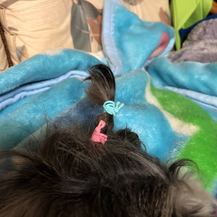 338e5061 962b 4688 9c9a 23b6b4b9b285 1527337986318