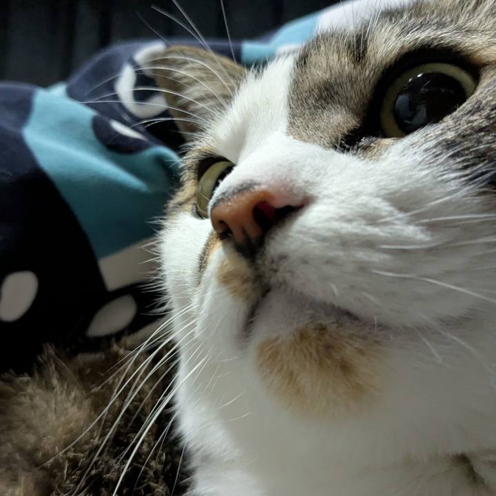 338e5259 3e87 426c 857f d6ac5064a0a5 1741384409520