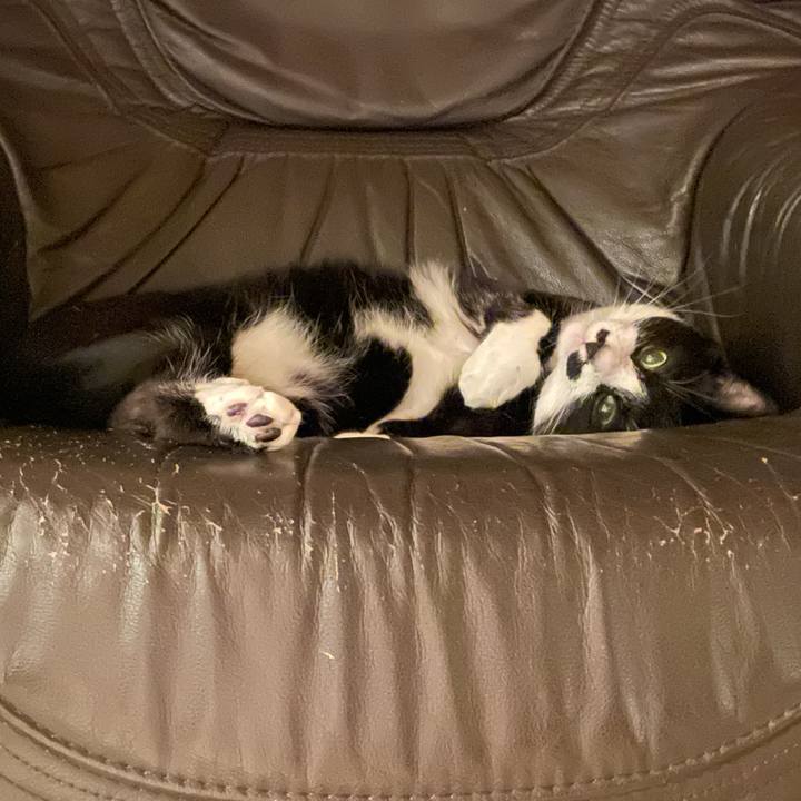 338ea619 4da0 4706 90be 414b20f86bec 1652750868582