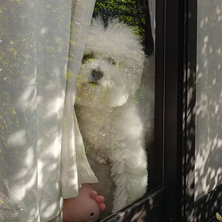 338eec5d e21a 4141 bc2c d4666707792e 1763767157665