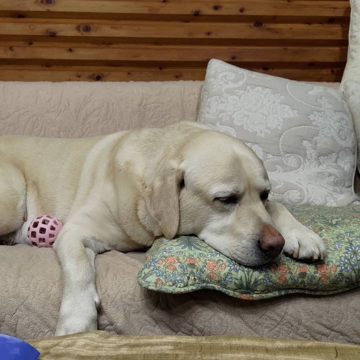 338f4219 558c 4823 b1f9 52231eb2a13b 1674013405309