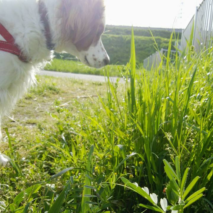 338fd3af dbc3 49fc 97cb 30d973b5ddef 1555994484820