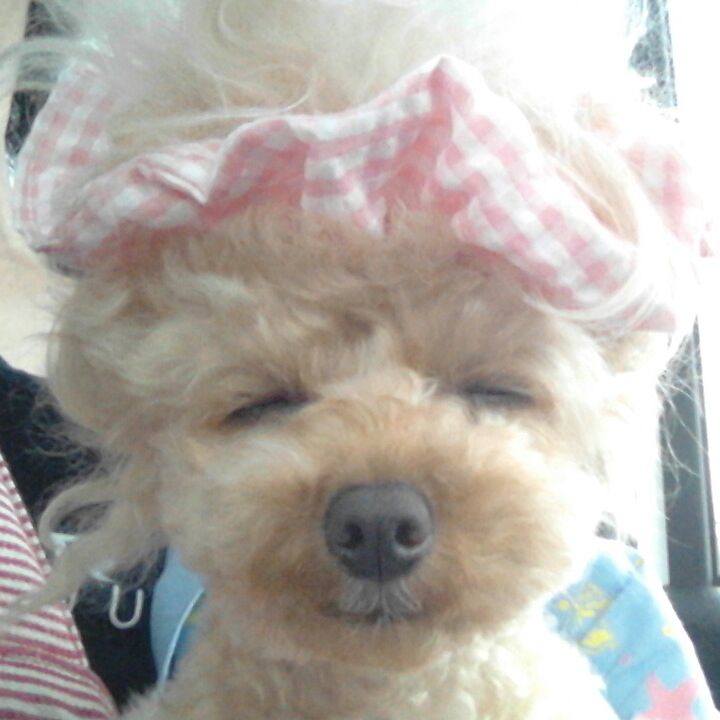 338fd492 3099 4dec a3a0 3af347869a31 1535284659184