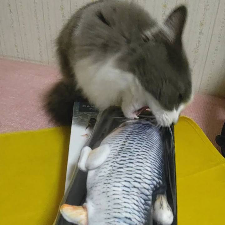 33901301 5f54 4a23 9c53 653ca1ba29ff 1579952114045