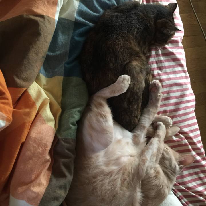 33903778 eb57 4469 af78 18fd5f033880 1592383112668