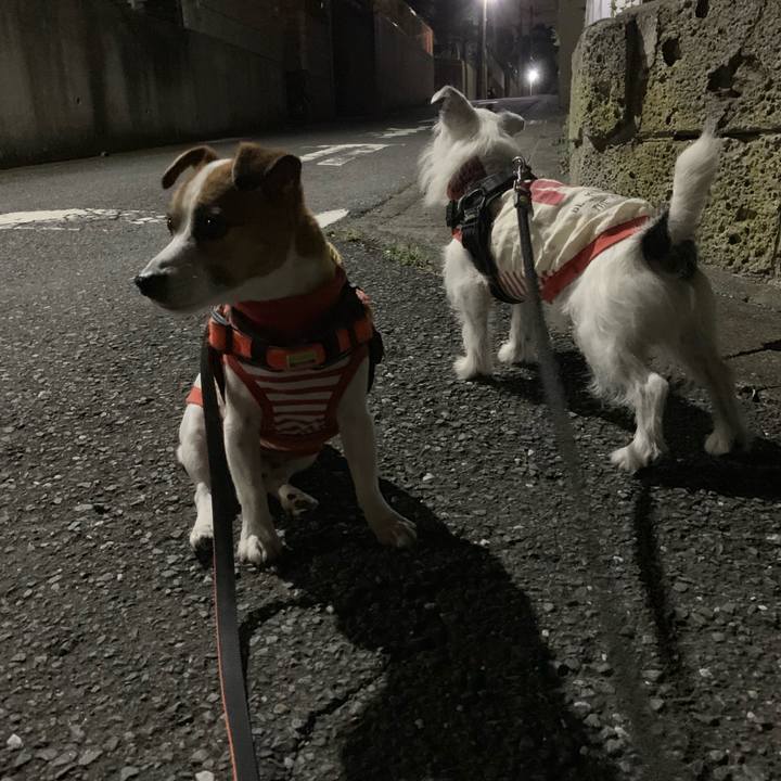 33904269 4f09 4bb5 8181 d80194f26828 1568899372998