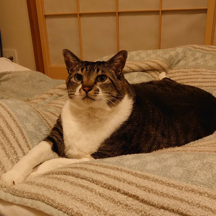 3390477d bfd3 430c 8b53 ac094c42e0c9 1611832133955