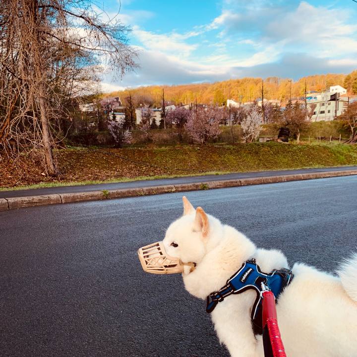 3390619e 3b89 4179 931e c60a81c3fb20 1651525985429